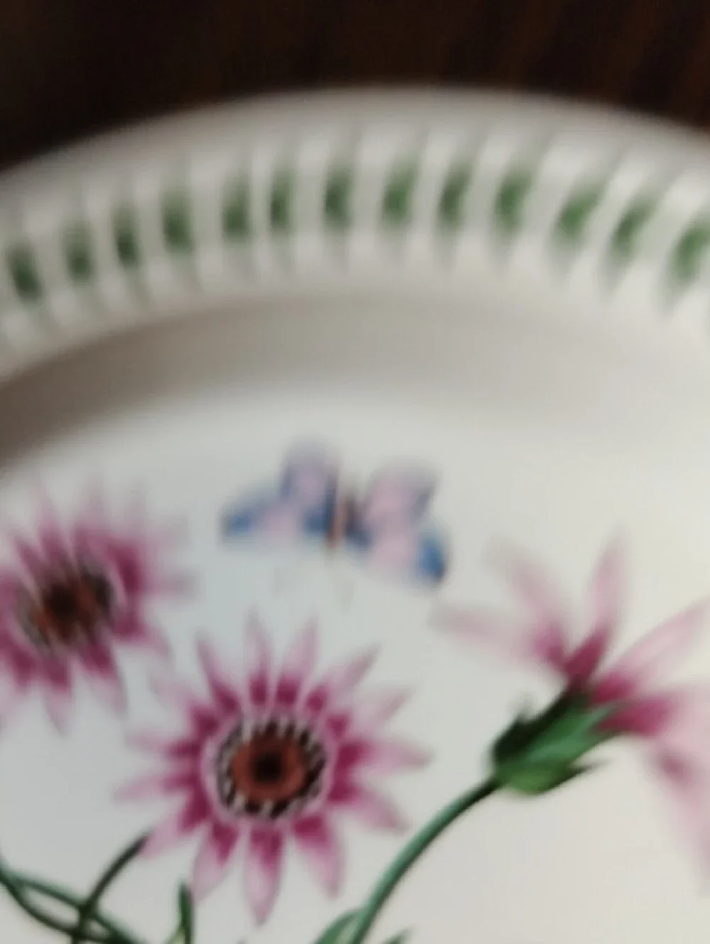Port Meirion New Gazania Ringens Floral 8.5 Plate - Pink